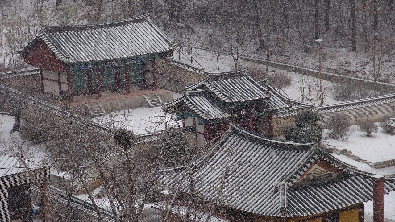 세종시 코다리