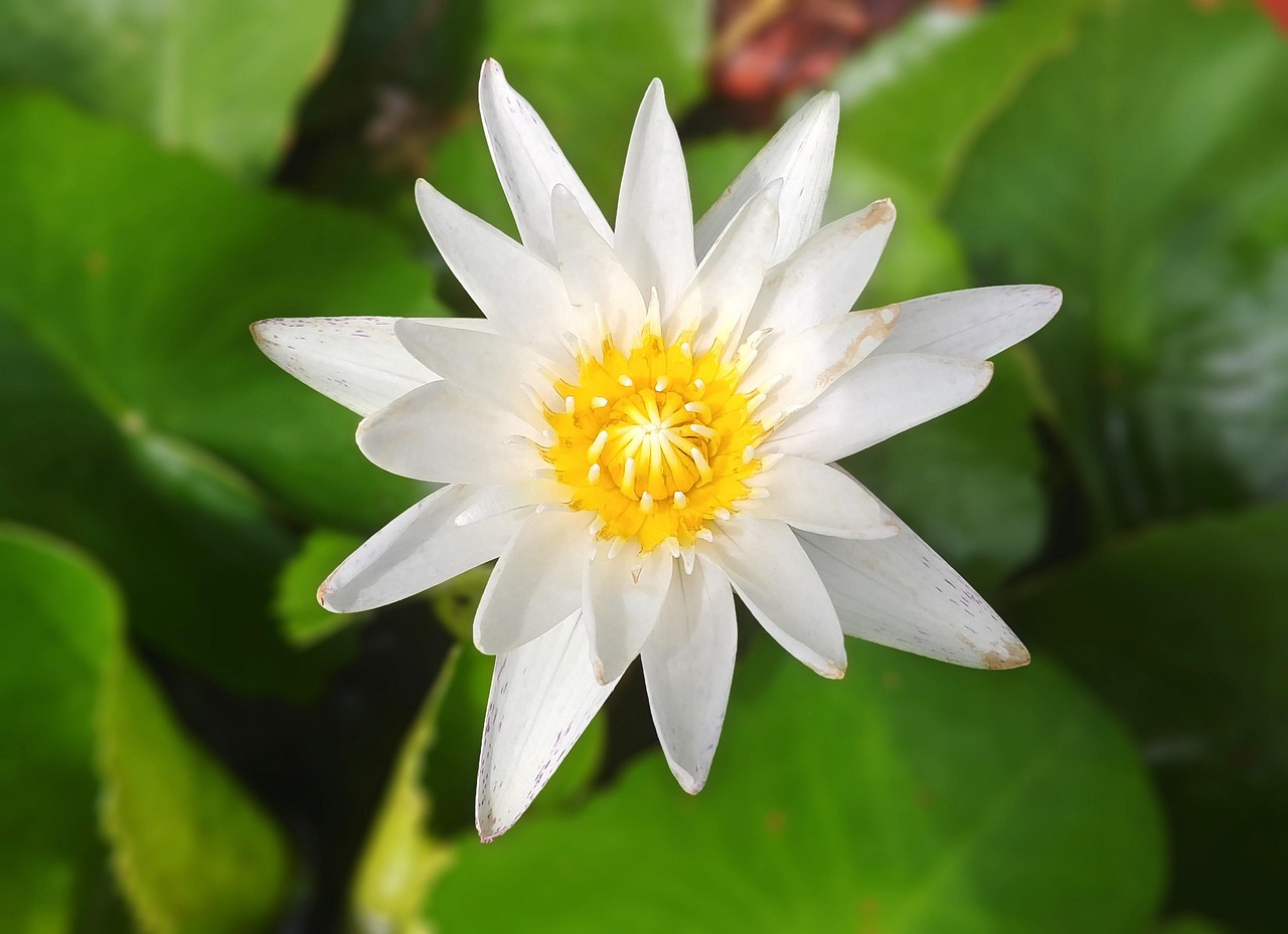 세종시 식당